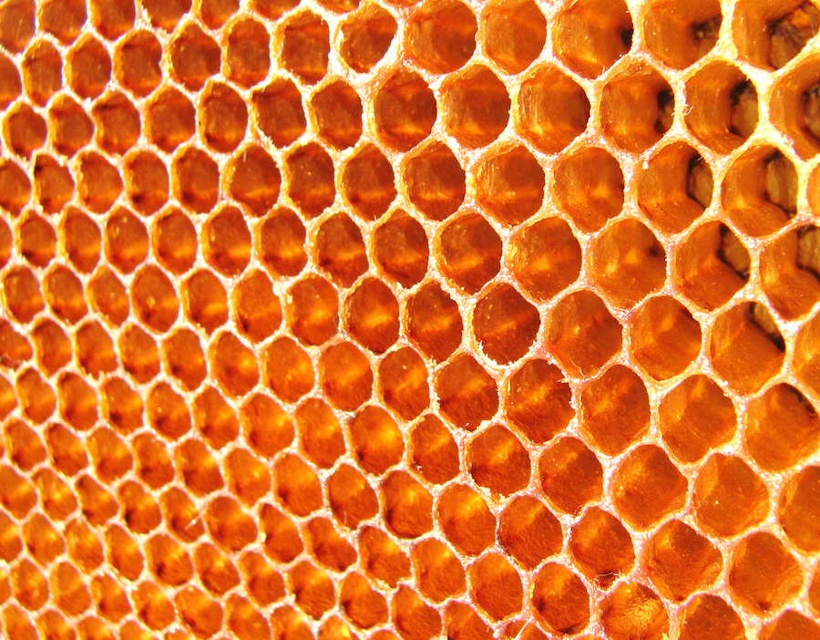 honeycomb